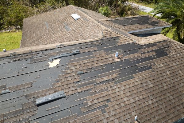 Roof Shingle Replacement in Cary