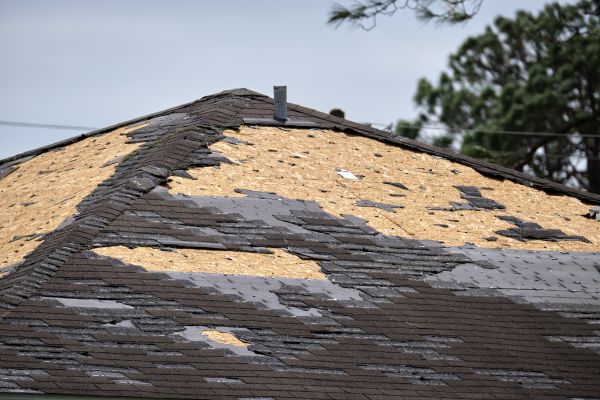 Roof Damage Restoration in Cary