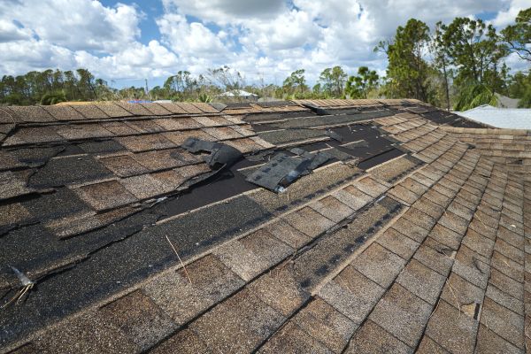 Roof Damage Repair in Cary