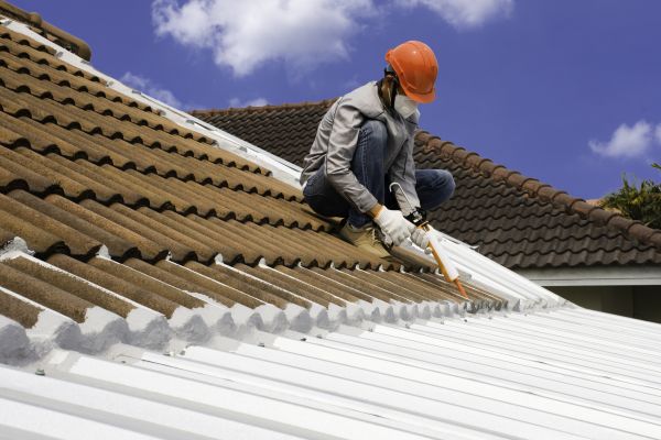 Roof Sealant Service in Cary